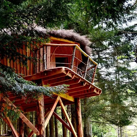 Cabanes Et Yourtes De La Vallee De L'ance Sauvessanges